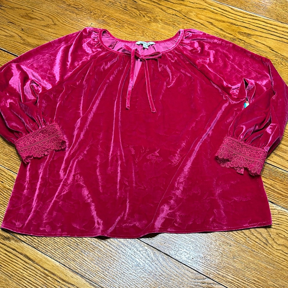 The Pioneer Woman stamped velvet peasant top. New with tags.  Hot pink. Size 22W